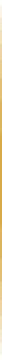Vertical Divider